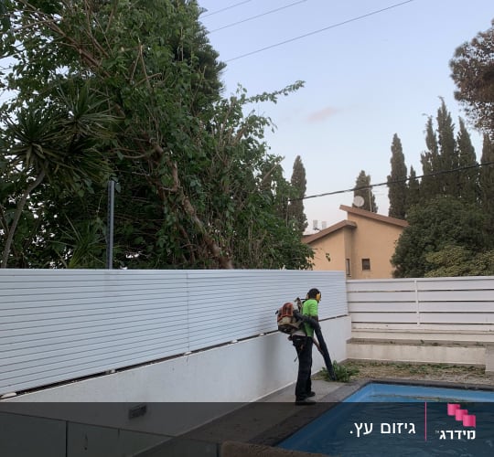 אדם גוזם עצים ליד בריכה עם מפוח עלים
